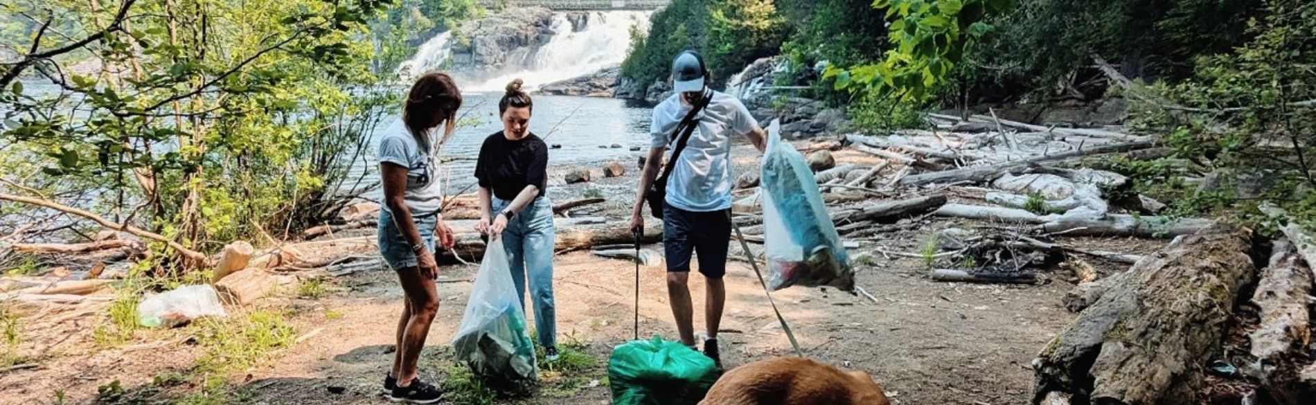 people cleaning up litter in a park