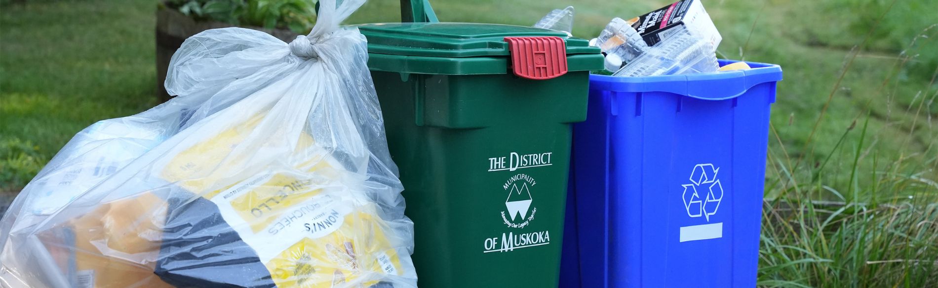 Clear bag, Compost bin and recycling bag